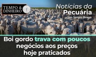 Tempo e Dinheiro