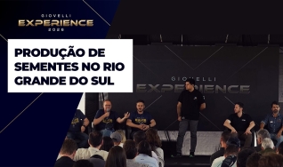 Realidades da Safra Notícias Agrícolas