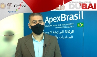 Antônio Braga - Analista de negócios ApexBrasil