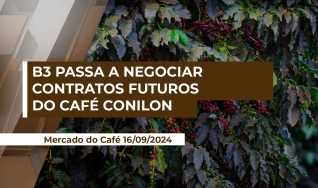 Marcus Magalhães - Diretor Executivo MM Cafés