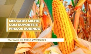 Cristiano Palavro - Diretor da Pátria Agronegócios