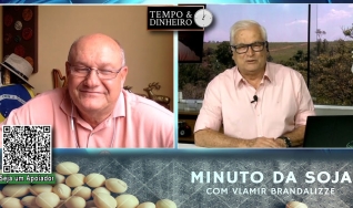 Milho com boas lavouras voltando olhar para exportações