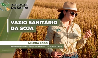 Milena Lobo - Analista de Inteligência de Mercado da Soja do Imea