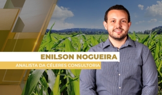Enilson Nogueira - Analista da Céleres Consultoria