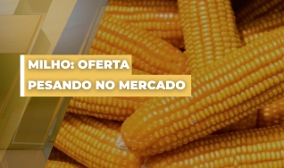 Ruan Sene - Analista de Mercado da Grão Direto
