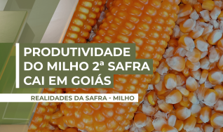 Leonardo Machado - Assessor Técnico da FAEG