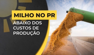 Nivaldo Forastieri