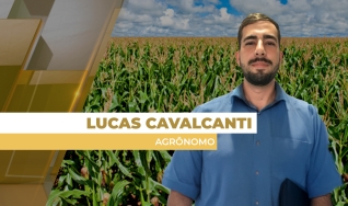 Lucas Cavalcanti - Agrônomo e Coordenador Técnico de Mercado na Nitro