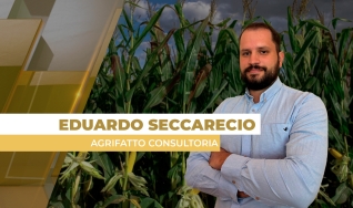 Eduardo Seccarecio - Analista de Mercado da Agrifatto Consultoria