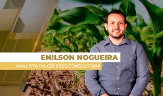 Enilson Nogueira - Analista da Céleres Consultoria