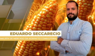 Eduardo Seccarecio - Analista de Mercado da Agrifatto Consultoria