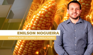 Enilson Nogueira - Consultor Céleres Consultoria
