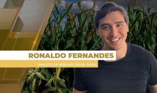 Ronaldo Fernandes - Analista de Mercado Royal Rural
