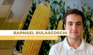 Raphael Bulascoschi - Analista de Inteligência de Mercado de Milho da StoneX