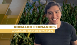Ronaldo Fernandes - Analista de Mercado Royal Rural