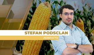 Stefan Podsclan - Consultor de Grãos e Projetos na Agrifatto