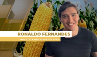 Ronaldo Fernandes - Analista de Mercado Royal Rural