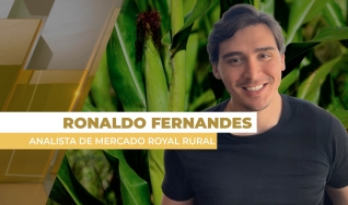 Ronaldo Fernandes - Analista de Mercado Royal Rural