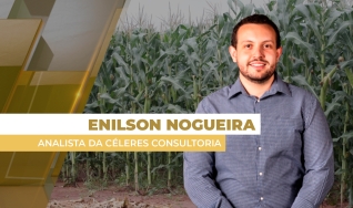Enilson Nogueira - Analista da Céleres Consultoria