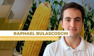 Raphael Bulascoschi - Analista de Inteligência de Mercado de Milho da StoneX