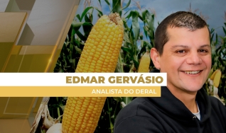 Edmar Gervásio - Analista do Deral