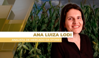 Ana Luiza Lodi - Analista de Mercado da StoneX