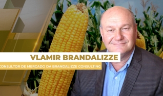Vlamir Brandalizze - Consultor de Mercado da Brandalizze Consulting