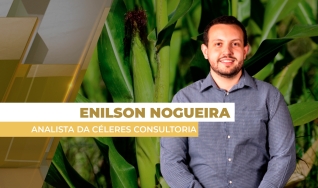 Enilson Nogueira - Analista da Céleres Consultoria