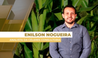 Enilson Nogueira - Analista da Céleres Consultoria