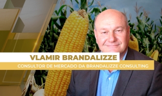 Vlamir Brandalizze - Consultor de Mercado da Brandalizze Consulting