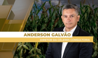 Anderson Galvão - Diretor da Céleres Consultoria