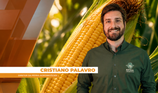 Cristiano Palavro - Diretor da Pátria Agronegócios