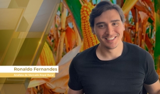 Ronaldo Fernandes - Analista de Mercado Royal Rural