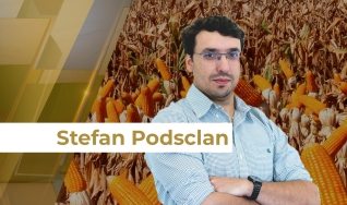 Stefan Podsclan - Consultor de Grãos e Projetos na Agrifatto