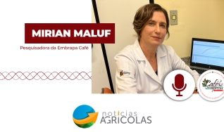 Café em Prosa - Podcast