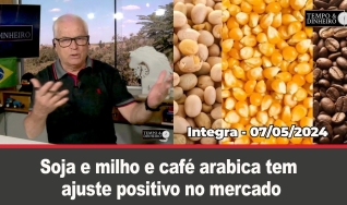 Tempo & Dinheiro