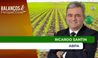 Ricardo Santin - Presidente da ABPA