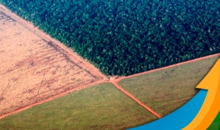 Zilto Donadello - Coordenador da Comissão de Sustentabilidade da Aprosoja-MT