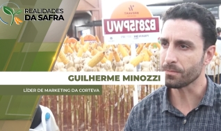 Guilherme Minozzi