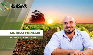 Murilo Ferrari