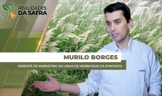 Murilo Borges - Gerente de Marketing da linha de herbicidas da Syngenta