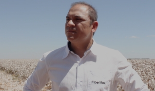 Rafael Ribeiro - Gerente de Biotecnologia Algodão BASF