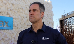 Hugo Borsari – Diretor de Sementes da BASF