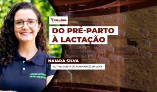 Naiara Silva - Nutricionista de Ruminantes da ADM
