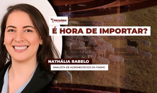 Nathália Rabelo - Analista de Agronegócios da Faemg