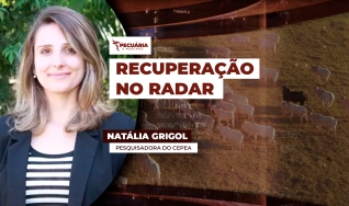 Natália Grigol - Pesquisadora do Cepea