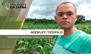 Nierley Teófilo Mateus da Cruz - Engenheiro Agrônomo e Consultor no Piauí