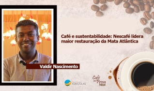 Café e sustentabilidade: Nescafé lidera maior restauração da Mata Atlântica