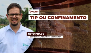 Neto Prado - Zootecnista, Pecuarista e Consultor