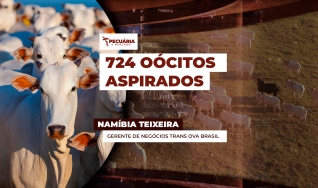 Namíbia Teixeira - Gerente de Negócios Trans Ova Brasil